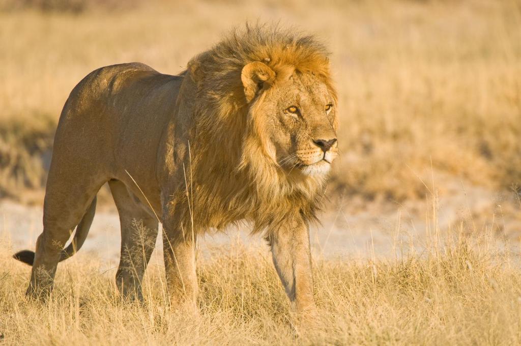 Etosha Village Окауквейо Екстер'єр фото